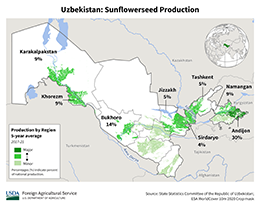 images\UZ\cropprod\Uzbekistan_Sunflowerseed_preview.png